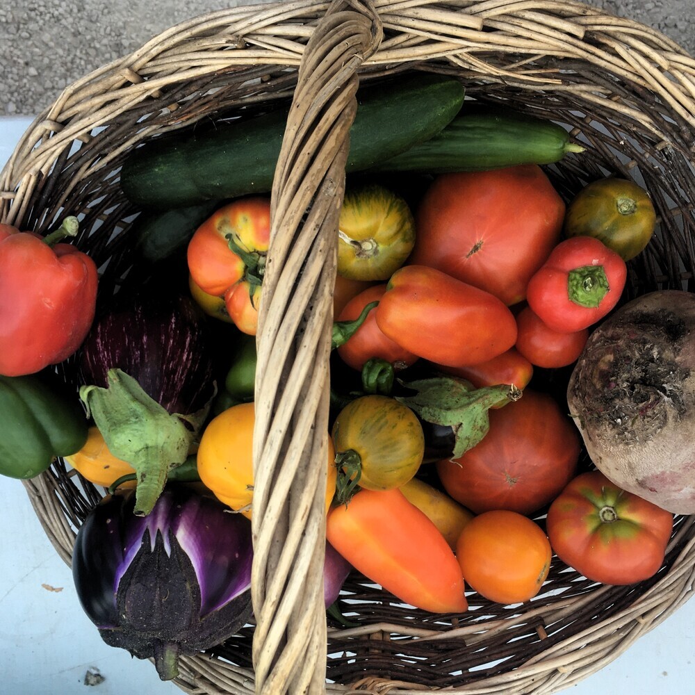 panier.jpg